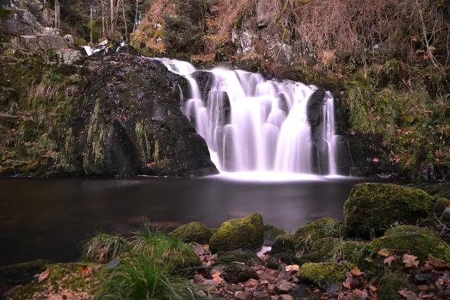 Une cascade dans la forêt vosgienne