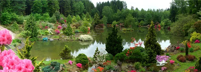 Le jardin botanique de Gondremer
