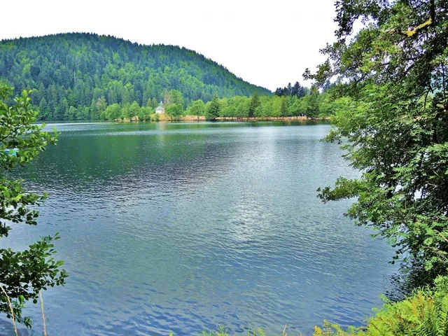 Le lac de Longemer et ses prairies
