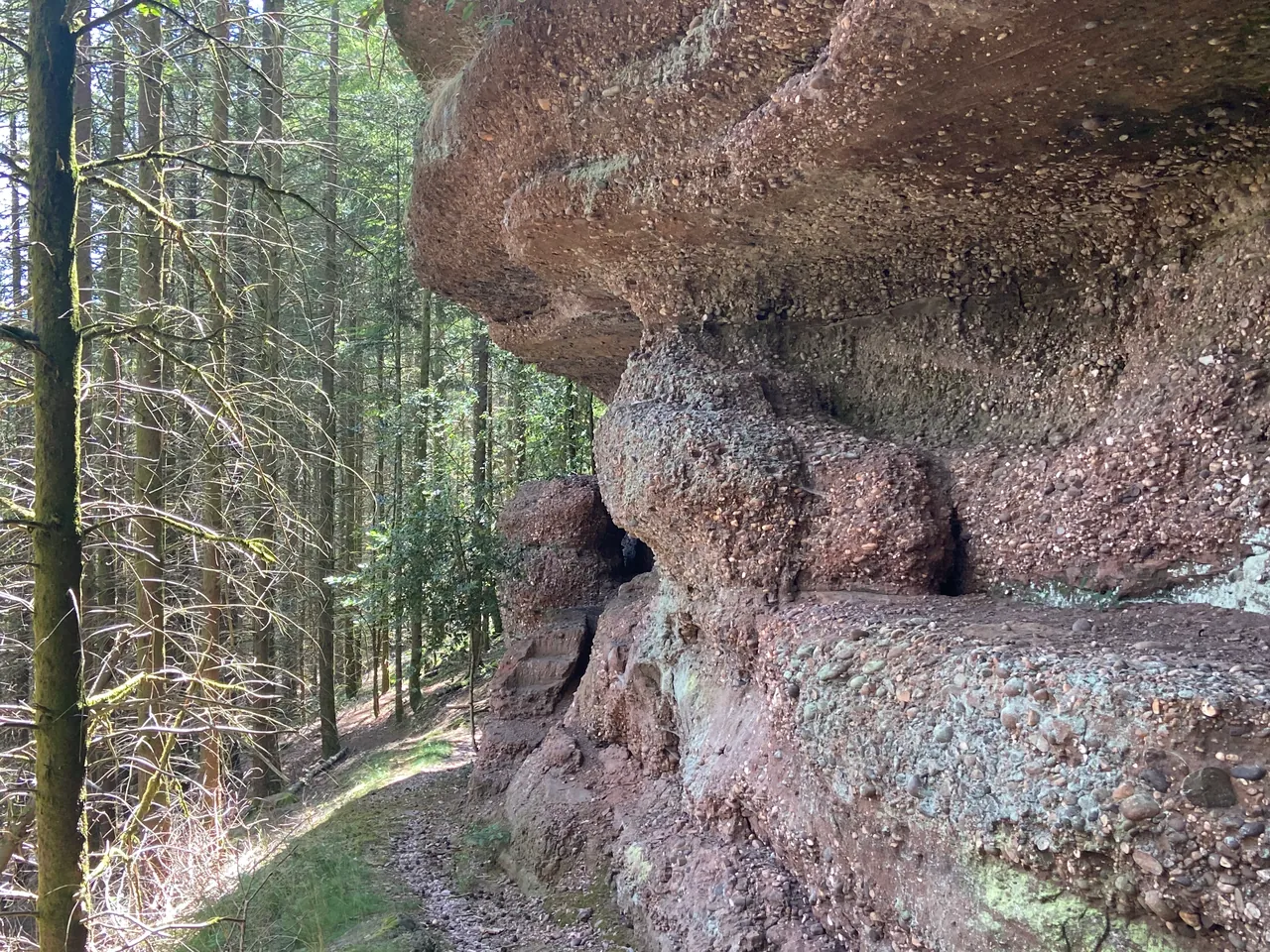 Une roche de grès rose en forêt, au-dessus du village
